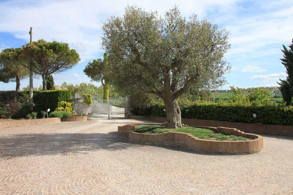 Villa Dolcevita San Costanzo Eksteriør billede