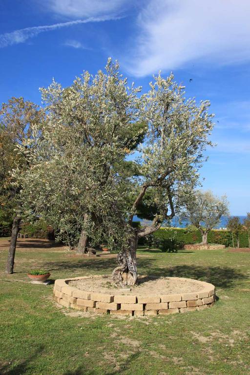 Villa Dolcevita San Costanzo Eksteriør billede